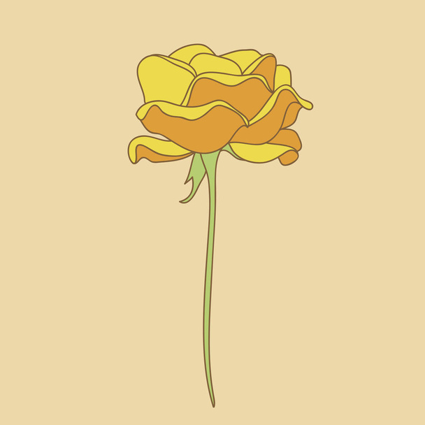 Rose flower. One flower. Vector illustration. - Вектор, зображення