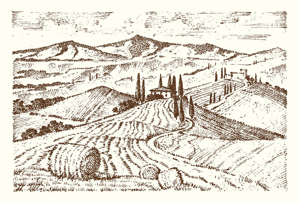 刻まれた手のラベルの古いスケッチとビンテージ スタイルで描画されます。イタリア トスカーナ フィールド背景とサイプレスの木です。収穫と干草の山。ワインヤードと村や素朴な家の田園風景. - ベクター画像