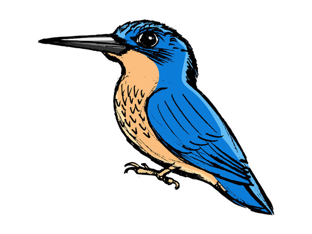 kingfisher, вид сбоку
 - Вектор,изображение