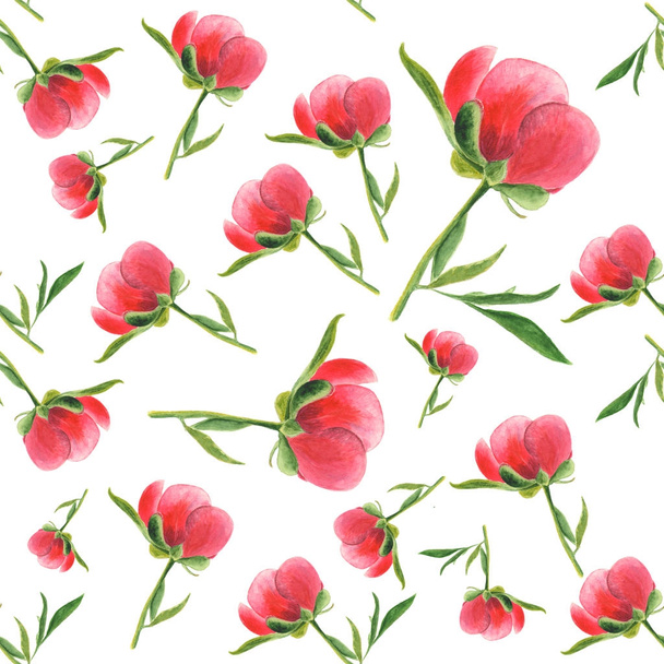 Pink peony bud on white background. Seamless watercolor pattern - Photo, image