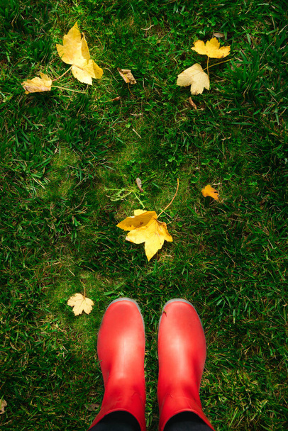 high angle view of woman in red rubber boots on green grass full of autumn leaves - Zdjęcie, obraz