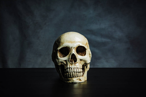 skull on the table , still life  - Foto, Imagem