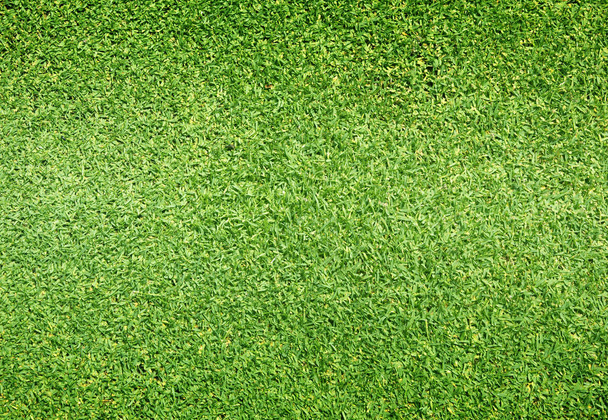 Gras Hintergrund Golfplätze grünen Rasen - Foto, Bild