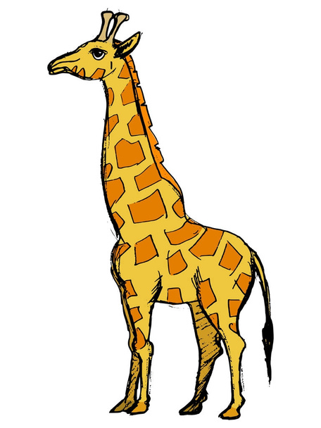 giraffe African animal - Vector, imagen