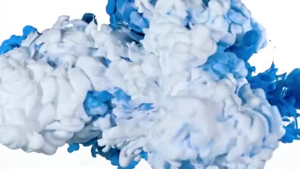 Fehér és kék tinta a víz - Felvétel, videó