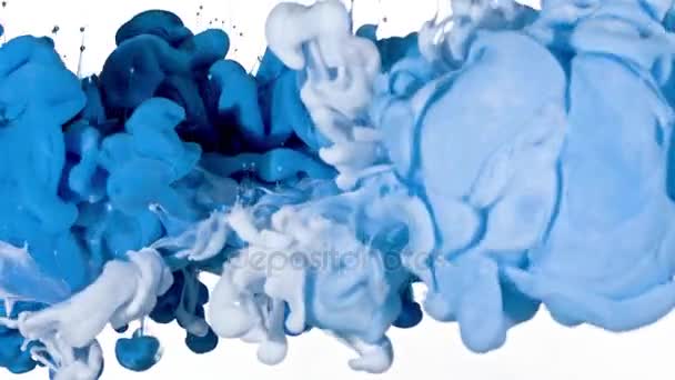 Λευκό και μπλε μελανιού στο νερό - Πλάνα, βίντεο