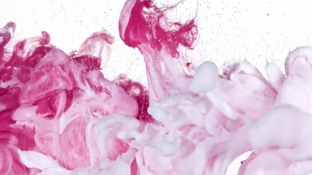 Wit en roze inkt in Water - Video