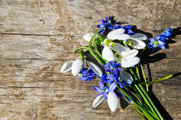 Csokor, az első tavaszi virágok a fából készült háttér - Fotó, kép