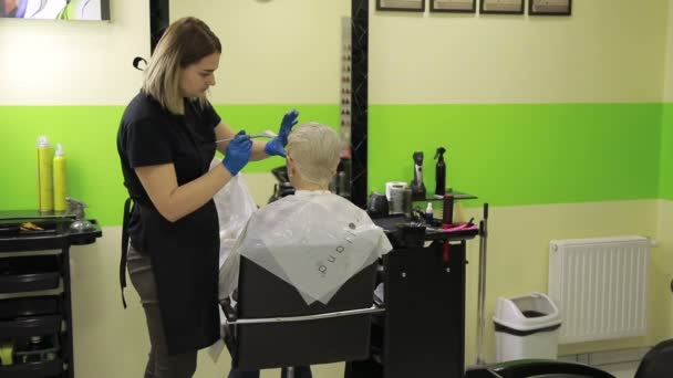 Coiffeur professionnel teignant les cheveux de sa cliente
 - Séquence, vidéo