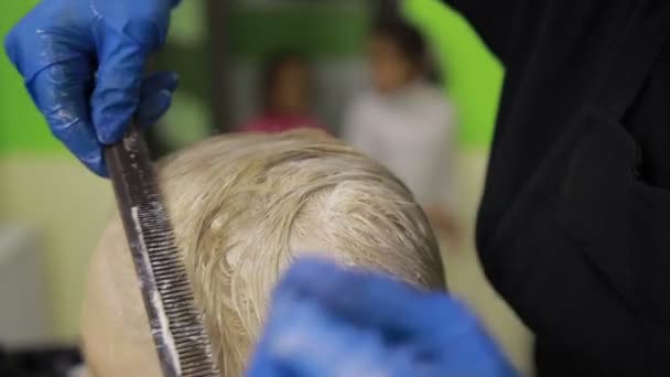 Επαγγελματία κομμωτή χρωματίζοντας τα μαλλιά τους πελάτες - Πλάνα, βίντεο
