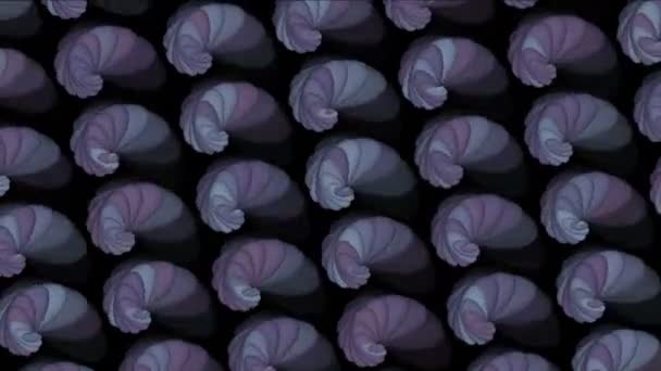 4 k soyut kabuklu deniz hayvanı kabuğu desen arka plan, biyoloji Fraktaller geometrik zemin. - Video, Çekim