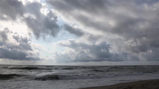 Storm op het zanderige strand, bewolking, de wind jaagt golven en wolken. - Video