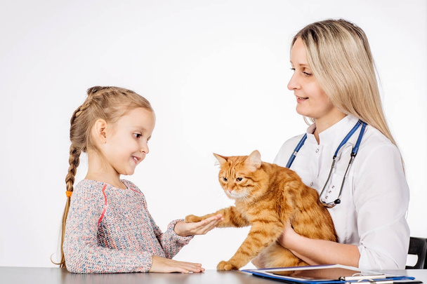 female vet and girl with kitten in clinic. medicine, pet, animals and people concept - Foto, immagini