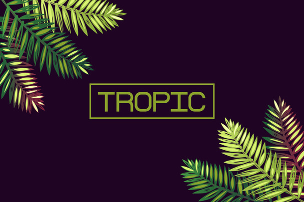 Fond avec des feuilles de palmier et le mot "tropique". Des lettres. Les tropiques. Frontière. Exotiques
. - Vecteur, image
