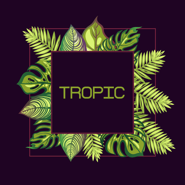 Frame with tropical leaves and the word "tropic" on a dark background. Lettering. Border. Exotics. Vector illustration. - Vecteur, image