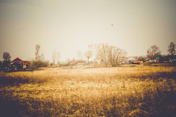 Весенний сухой грасс-ретро
 - Фото, изображение