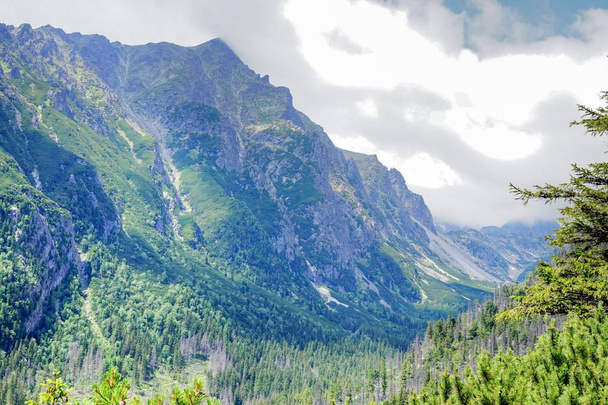 nature Slovakia Tatras - Photo, Image