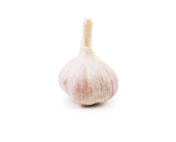 A close-up picture of a whole head of garlic, isolated on a white background. Natural ingredient full of healthy vitamins from a home orchard. Nutritious summer harvest. - 写真・画像