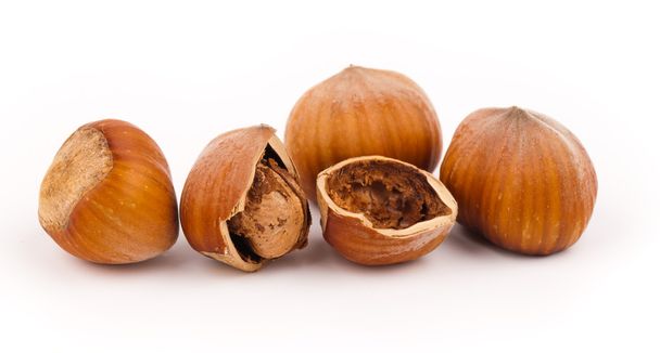 Hazelnuts - Foto, Imagen