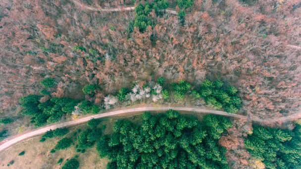 A légi felvétel a keresztül erdő road. - Fotó, kép