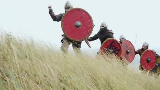 Ryhmä viikinki kanssa kilvet kulkee eteenpäin niityllä ja nostaa miekka
 - Materiaali, video