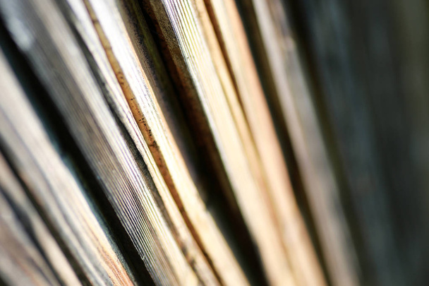 Текстура деревянной балки из березы
 - Фото, изображение