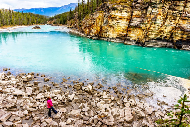 Γυναίκα στην άκρη τα γαλαζοπράσινα νερά του ποταμού Athabasca - Φωτογραφία, εικόνα