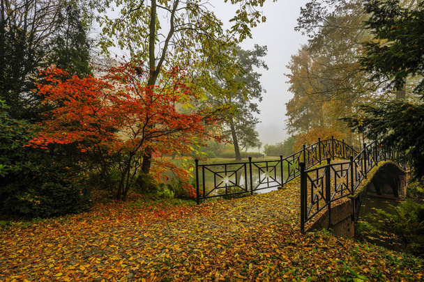 Schilderachtig uitzicht op de mistige herfst landschap met prachtige oude brug  - Foto, afbeelding