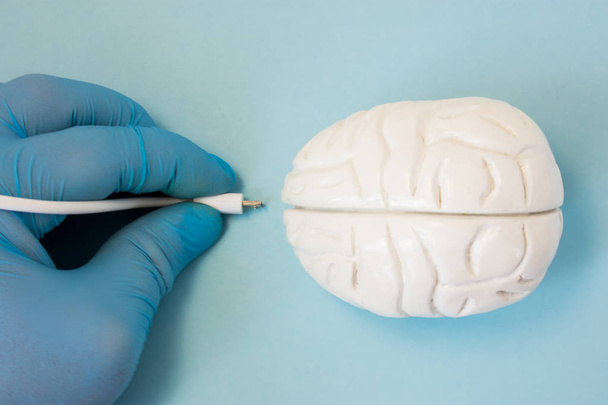 Brain and plug concept photo. 3D figure of human brain is next to hand of scientist or doctor in glove, which keeps plug connector to be inserted into organ for diagnostic or download information data - Фото, изображение