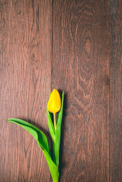 on a dark wooden floor there is a bright yellow tulip - Φωτογραφία, εικόνα