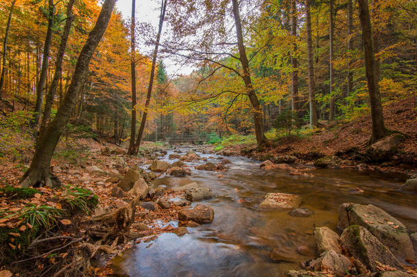 Mountain stream with waterfall in an autumn forest - Photo, Image