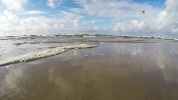   Surf van de Oostzee in Polen, camera in de branding - Video