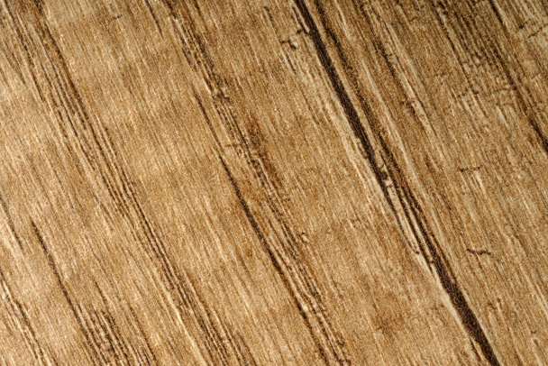 timber wooden background - Photo, image