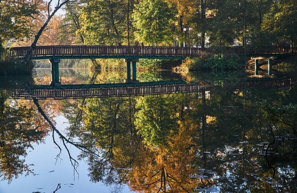 Vijver en houten brug in het Park - Foto, afbeelding