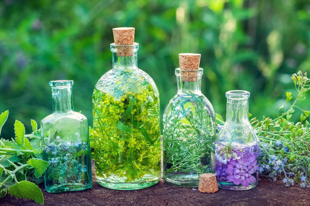 Bottles of herbal infusion and healing herbs outdoors. Herbal medicine. - Photo, image
