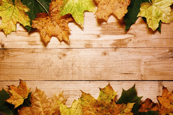 Maple leaves in autumn on a wooden - Photo, Image