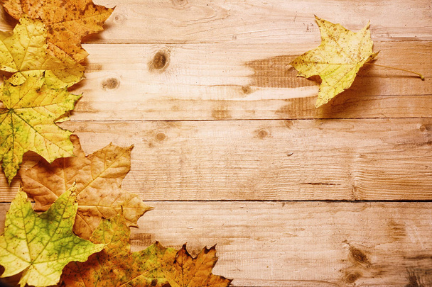Hojas de arce en otoño sobre una madera
 - Foto, Imagen