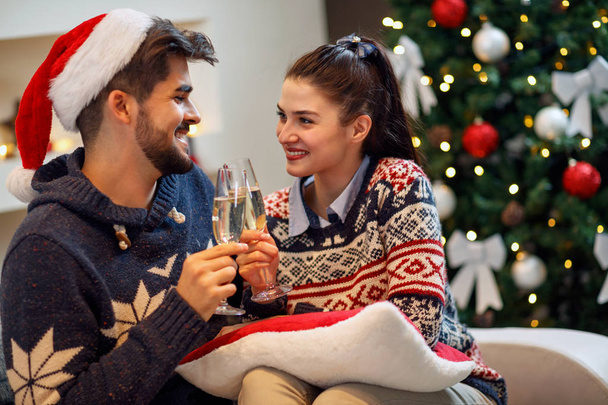 Couple toast for happy Christmas holiday - 写真・画像