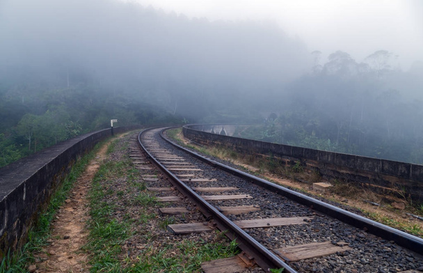 Lesní železnice v mlze, Ella, Srí Lanka - Fotografie, Obrázek