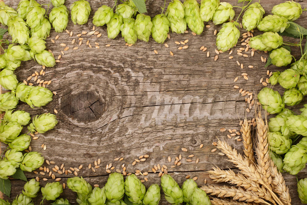 Cornice di coni di luppolo con spighe di grano su vecchio sfondo di legno. Vista dall'alto con spazio di copia per il testo
 - Foto, immagini