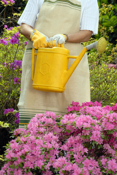 Mid adult woman gardening - Photo, Image