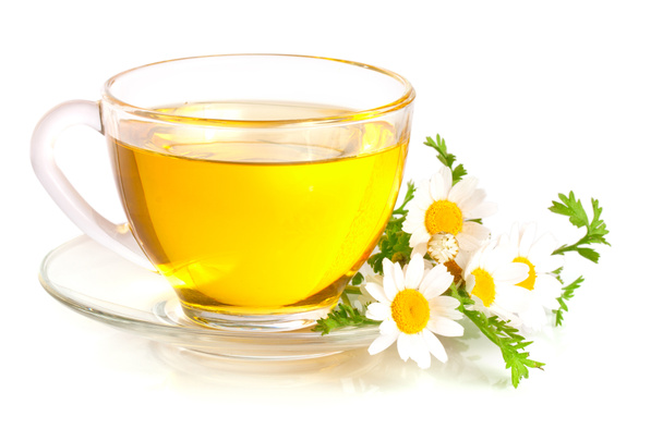 Βότανα Τσάι με χαμομήλι φρέσκα λουλούδια που απομονώνονται σε λευκό φόντο - Φωτογραφία, εικόνα
