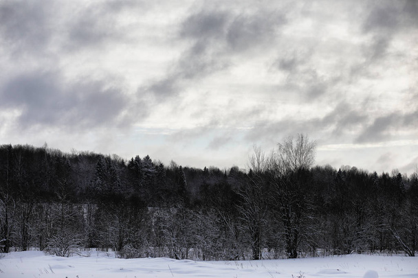 Krajobraz w pochmurny dzień zimy - Zdjęcie, obraz