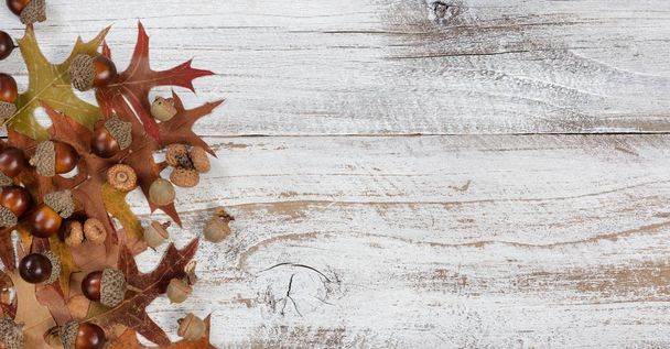 Bellotas y hojas otoñales sobre fondo rústico de madera blanca
 - Foto, imagen
