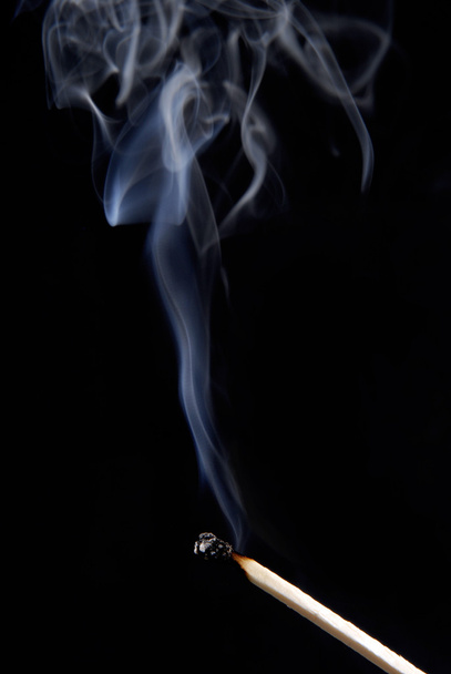 Burnt match - Valokuva, kuva