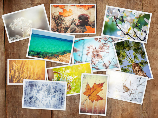 Un collage di fotografie sono le stagioni. Focus selettivo
.  - Foto, immagini