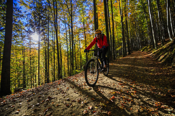 Велоспорт, горный велосипед женщина на велосипедной дорожке в осеннем лесу
. - Фото, изображение