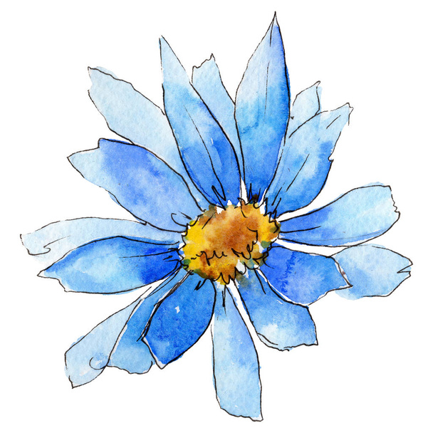 Wildflower aster flower in a watercolor style isolated. - Foto, Imagen