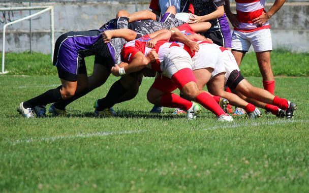 joueurs de rugby forts poussant dans une mêlée
  - Photo, image