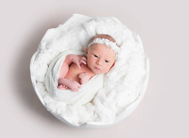 Top view of newborn baby girl laying in a bowl - Foto, imagen